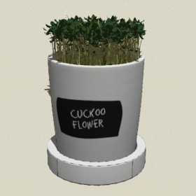 ����ֲ��-Sketchup��ͼ��ʦEnscape����ģ��2022051164