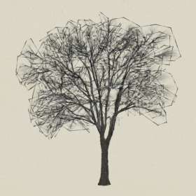 ��ľ-Sketchup��ͼ��ʦEnscape����ģ��20220511115