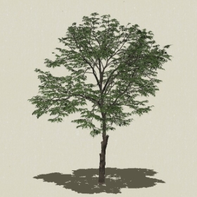 ��ľ-Sketchup��ͼ��ʦEnscape����ģ��2022051124