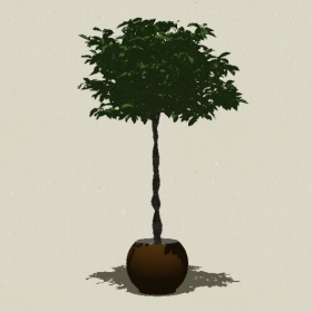 ����ֲ��-Sketchup��ͼ��ʦEnscape����ģ��20220511275