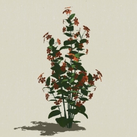 ����-Sketchup��ͼ��ʦEnscape����ģ��2022051124