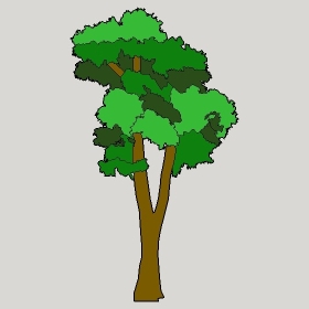 ͼʦģֲģȫ2022119