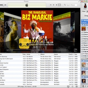 TuneUp 2.6.3 for Mac 修复、清洁和组织iTunes音乐库