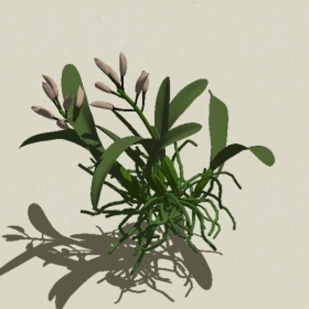 ����-Sketchup��ͼ��ʦEnscape����ģ��2022051173