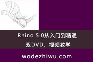 rhino 5.0ŵͨ ˫DVDƵѧ