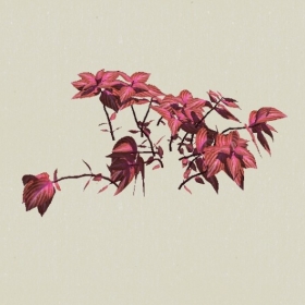 ��-Sketchup��ͼ��ʦEnscape����ģ��20220511116