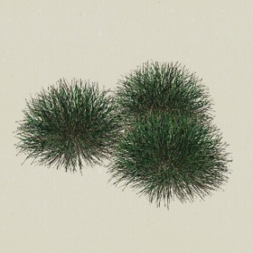 ��-Sketchup��ͼ��ʦEnscape����ģ��2022051163