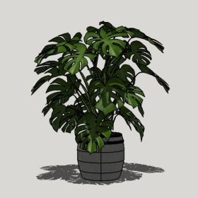 ����ֲ��_Sketchup��ͼ��ʦģ��Enscape����22020426513