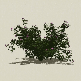 ��ľ��ľ-Sketchup��ͼ��ʦEnscape����ģ��2022051133