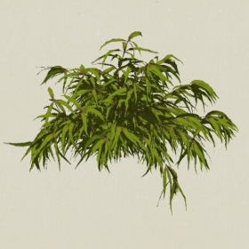 ��ľ-Sketchup��ͼ��ʦEnscape����ģ��20220511129