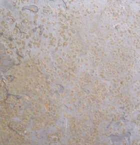 ʯשTileMaterial_148