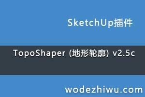 TopoShaper () v2.5c