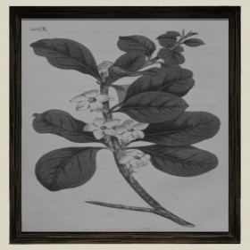 װ�λ�-Sketchup��ͼ��ʦEnscape����ģ��20220511444