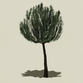 ���ֲ��-Sketchup��ͼ��ʦEnscape����ģ��2022051156