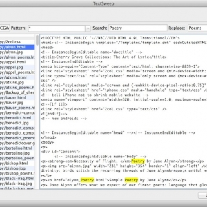 TextSweep for mac 2.1.0 -快速在多个文件中搜索和替换文本 最新绿化版
