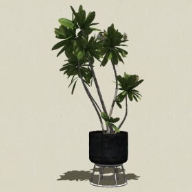 ����ֲ��-Sketchup��ͼ��ʦEnscape����ģ��20220511136