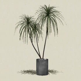 ����ֲ��-Sketchup��ͼ��ʦEnscape����ģ��2022051113