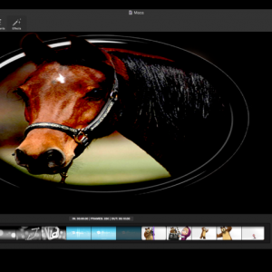 Cinemagraph Pro for mac 1.5.1 – 创造生活的照片 最新绿化版