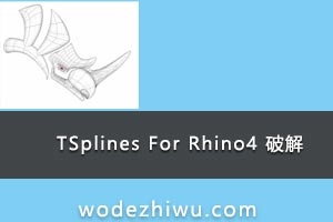 020-TSplines For Rhino4 绿化