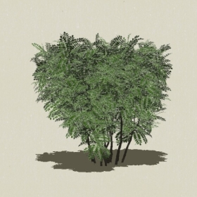 ��ľ-Sketchup��ͼ��ʦEnscape����ģ��2022051140