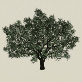 ��ľ-Sketchup��ͼ��ʦEnscape����ģ��20220511121