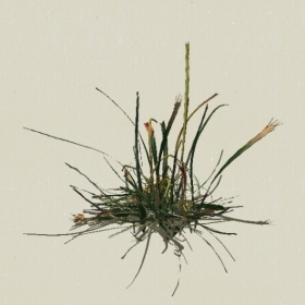 ��-Sketchup��ͼ��ʦEnscape����ģ��2022051186