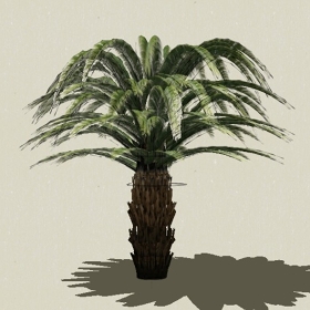 ���ֲ��-Sketchup��ͼ��ʦEnscape����ģ��2022051130