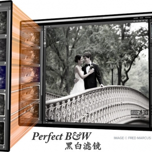 黑白滤镜 Perfect B&amp;W 9.5.0 绿化版 PE Mac 插件