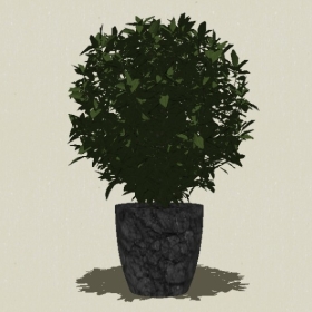 ����ֲ��-Sketchup��ͼ��ʦEnscape����ģ��20220511261