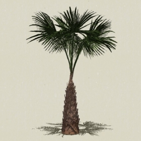 ���ֲ��-Sketchup��ͼ��ʦEnscape����ģ��202205118