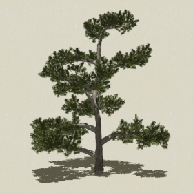 �辰ֲ��-Sketchup��ͼ��ʦEnscape����ģ��20220511114