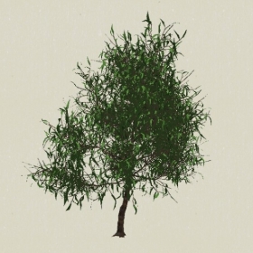 ��ľ-Sketchup��ͼ��ʦEnscape����ģ��20220511107