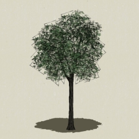 ��ľ-Sketchup��ͼ��ʦEnscape����ģ��20220511123