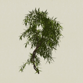 ��ľ-Sketchup��ͼ��ʦEnscape����ģ��2022051198