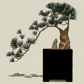 �辰ֲ��-Sketchup��ͼ��ʦEnscape����ģ��2022051181