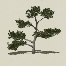 �辰ֲ��-Sketchup��ͼ��ʦEnscape����ģ��20220511110