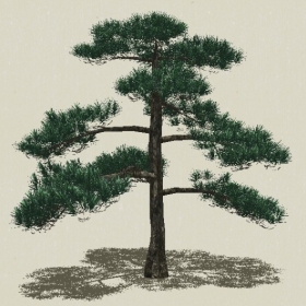 ��Ҷ��ľ-Sketchup��ͼ��ʦEnscape����ģ��2022051145