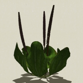 ��-Sketchup��ͼ��ʦEnscape����ģ��2022051195