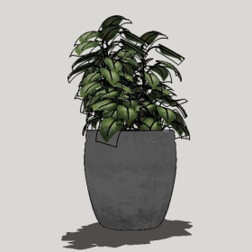 ����ֲ��_Sketchup��ͼ��ʦģ��Enscape����22020426451