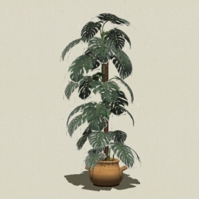 ����ֲ��-Sketchup��ͼ��ʦEnscape����ģ��20220511384