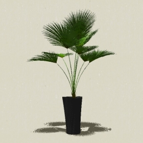 ����ֲ��-Sketchup��ͼ��ʦEnscape����ģ��20220511133