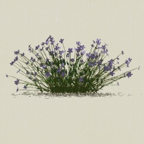 ����-Sketchup��ͼ��ʦEnscape����ģ��2022051169