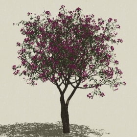 ��ľ��ľ-Sketchup��ͼ��ʦEnscape����ģ��2022051191