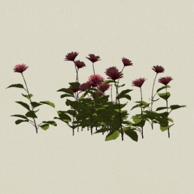 ����-Sketchup��ͼ��ʦEnscape����ģ��20220511