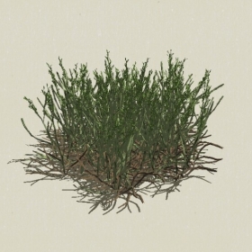 ��-Sketchup��ͼ��ʦEnscape����ģ��2022051126