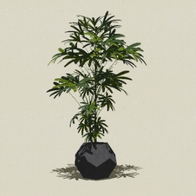 ����ֲ��-Sketchup��ͼ��ʦEnscape����ģ��202205116