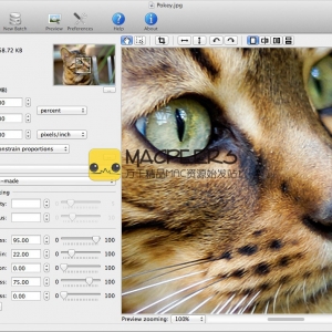 PhotoZoom Pro for mac 6.0.8 专业的图像编辑工具