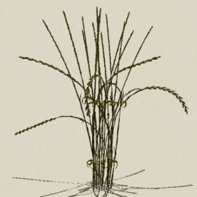 ��-Sketchup��ͼ��ʦEnscape����ģ��2022051165