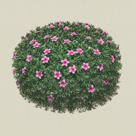 ��ľ-Sketchup��ͼ��ʦEnscape����ģ��2022051127