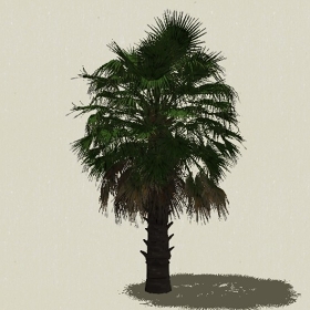 ���ֲ��-Sketchup��ͼ��ʦEnscape����ģ��2022051122